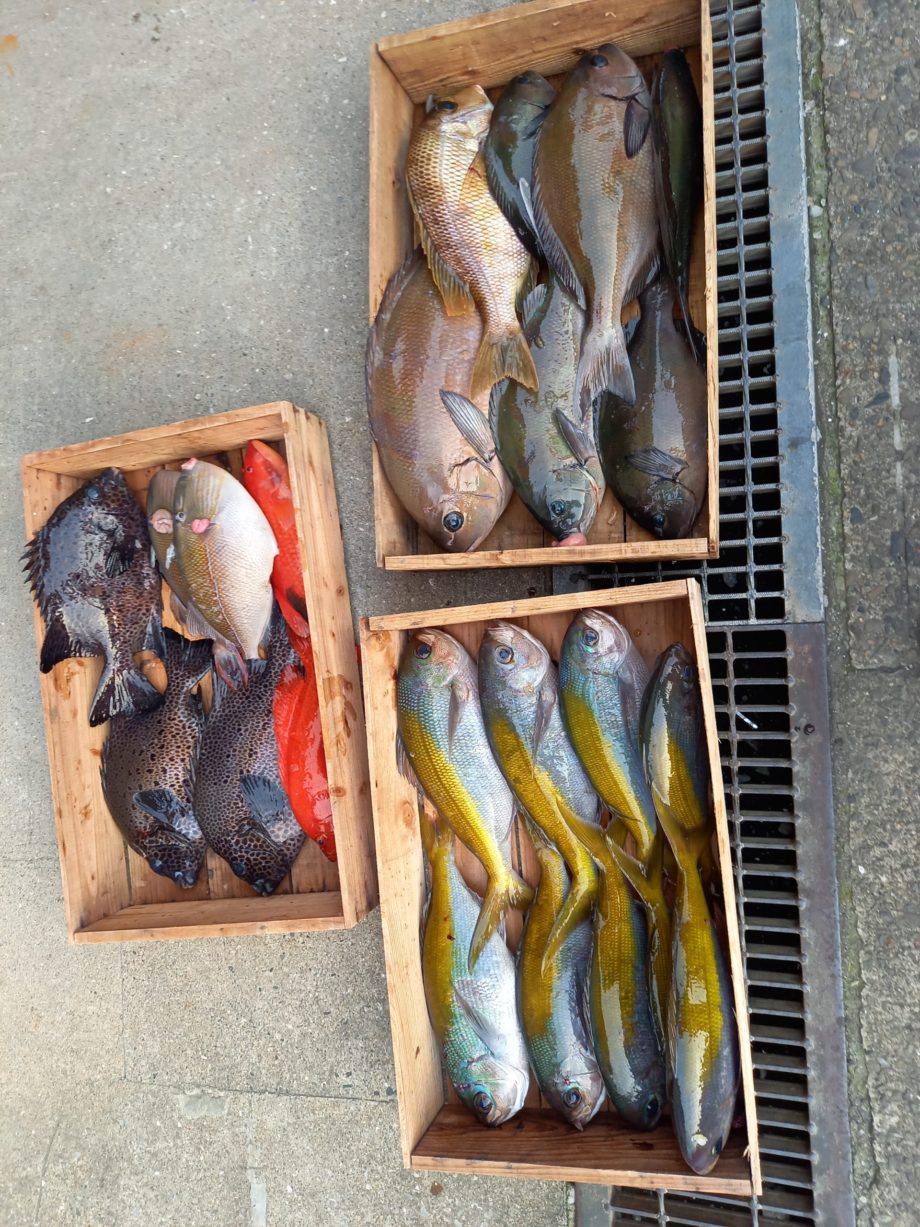 第8回釣りブログ ベルハウジング 鹿児島の工務店 注文住宅 家づくり